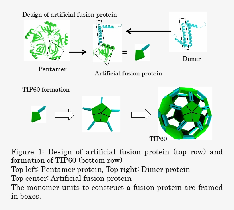 Creating Nanoscale "soccer Ball Shaped Molecules" With - Nanomaterials, transparent png download