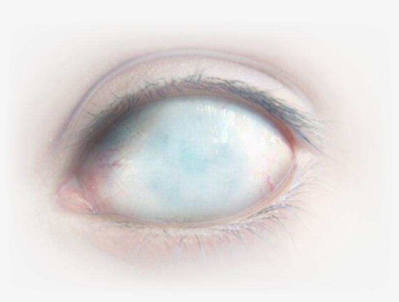 Eye, transparent png download