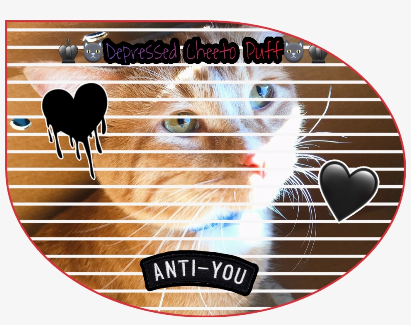 Report Abuse - Heart, transparent png download