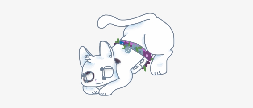 There's Blood And Bruises - Cat, transparent png download