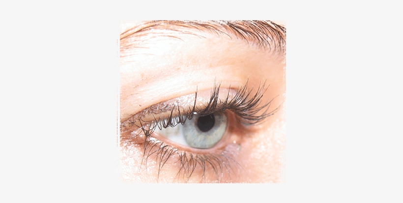 Lash Tinting / Perming - De La Bertauche'-noosa Mobile Spray Tans, Beauty And, transparent png download
