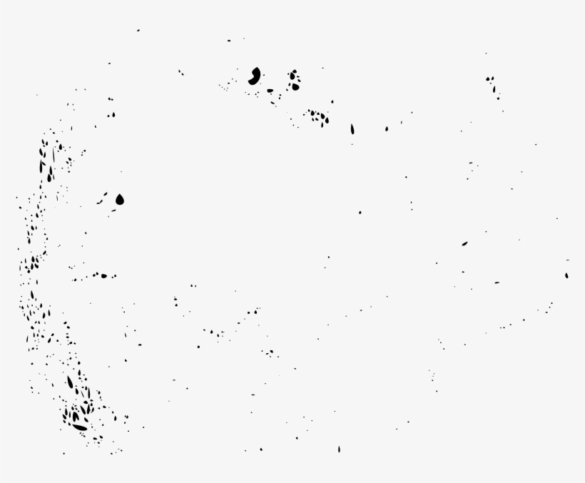 Medium Image - Black And White, transparent png download
