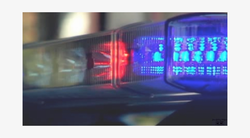 Police Report - Arrest, transparent png download