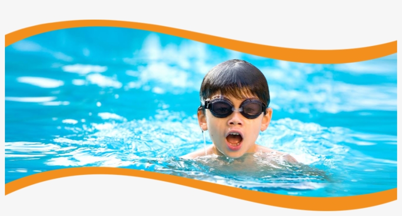 The Bear Paddle Difference - Boy, transparent png download