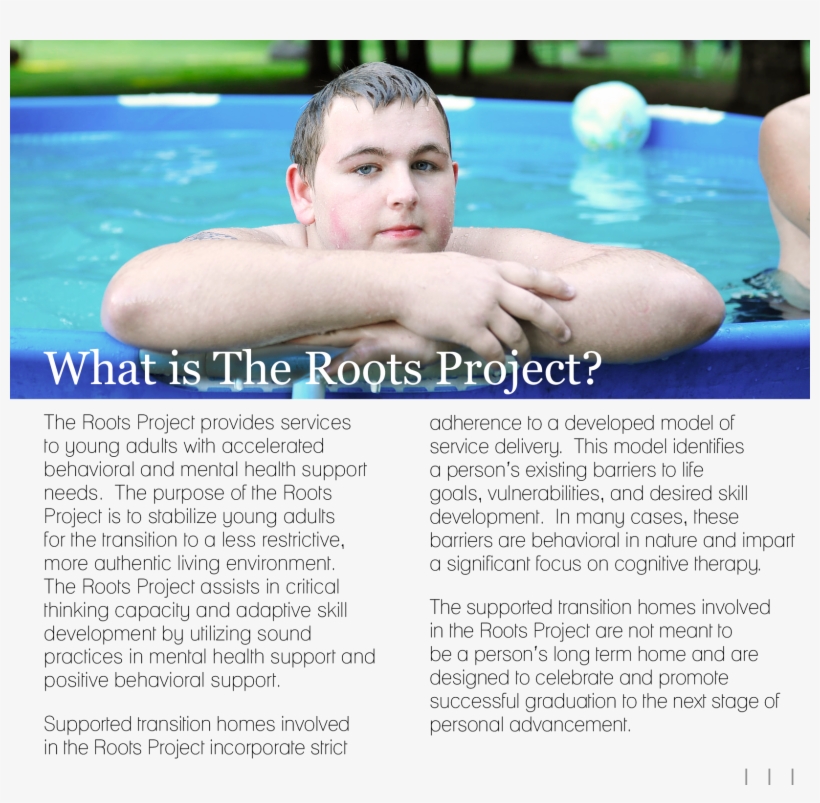 Roots Project - Swimming Pool, transparent png download