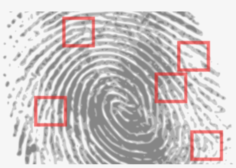 This Session Requires Advance Signup To Attend - Fingerprints Used To Solve Crimes, transparent png download