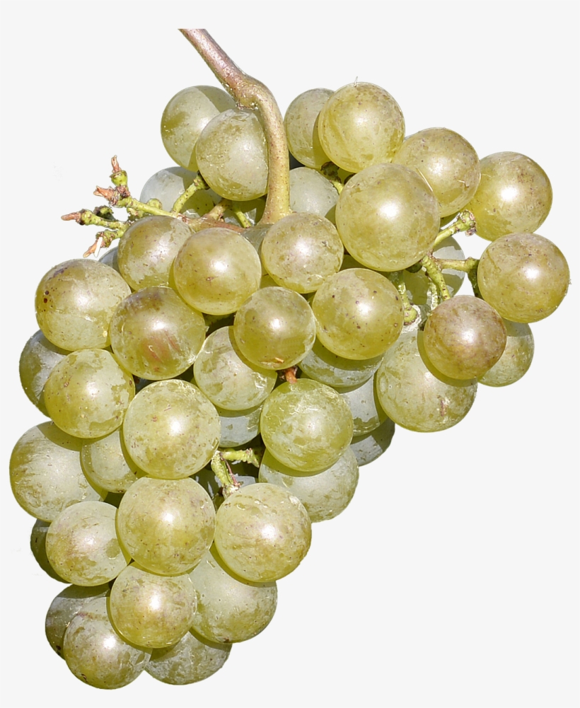 Wine Grapes Free Fruit Delicious, transparent png download