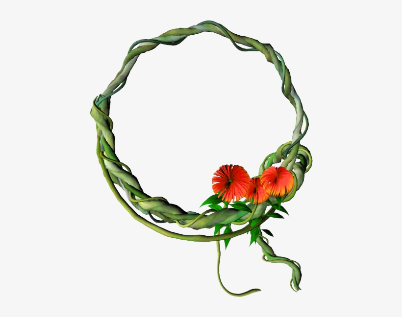 Frame Vine Orange Flowers - Floral Design, transparent png download