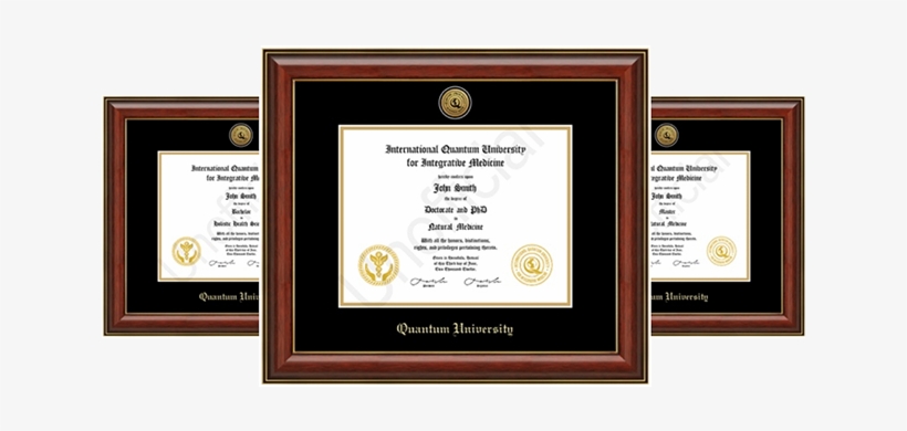 Quantum University's Degree Programs - Medicine, transparent png download