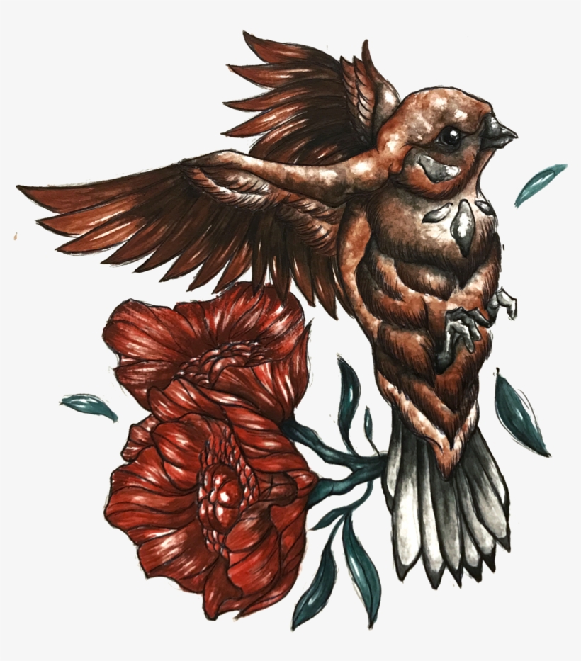 Img 1292 - Cliff Swallow, transparent png download