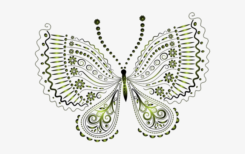 Фото, Автор Missis - Papilio Machaon, transparent png download