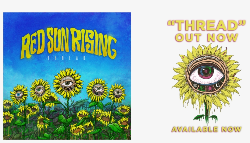 Featured Products - African Daisy, transparent png download