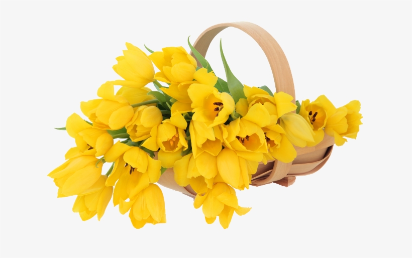 Hoy Te Regalamos Hermosas Imágenes En Png De Flores - Yellow Flowers Basket, transparent png download
