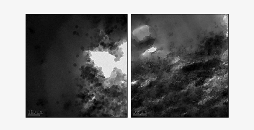 Cross Sectional View Of Microtomed Sample Of Pu 5 Wt - Monochrome, transparent png download