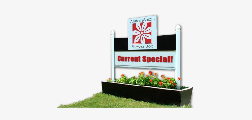 Let Us Arrange A Smile For You - Sign With Flower Box, transparent png download
