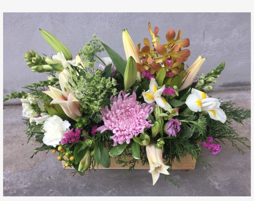 More Views - Boutique Flowers Panama, transparent png download