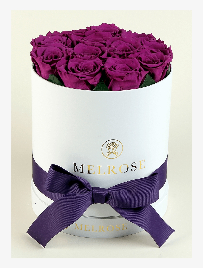 The Melrose Small Round Box Purple - Girl, transparent png download