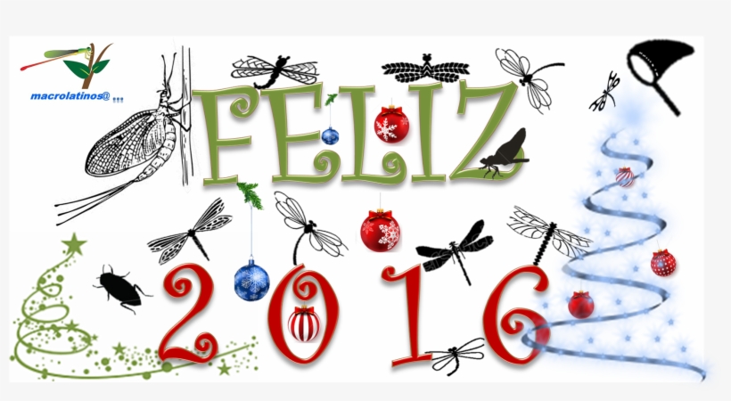 ¡felices Fiestas - Navidad, transparent png download