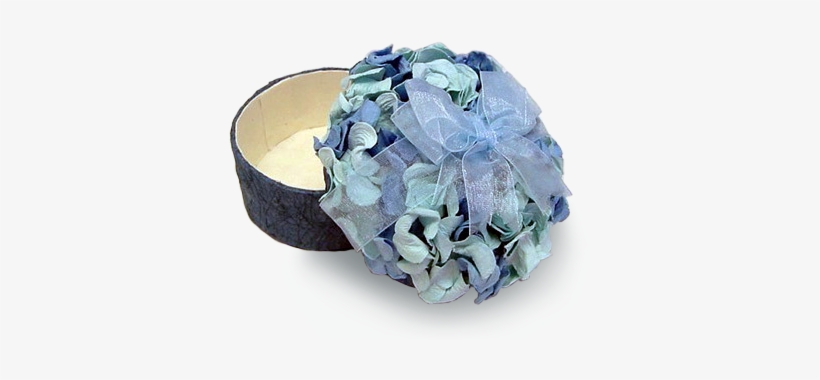 See 5 More Pictures - Hydrangea, transparent png download