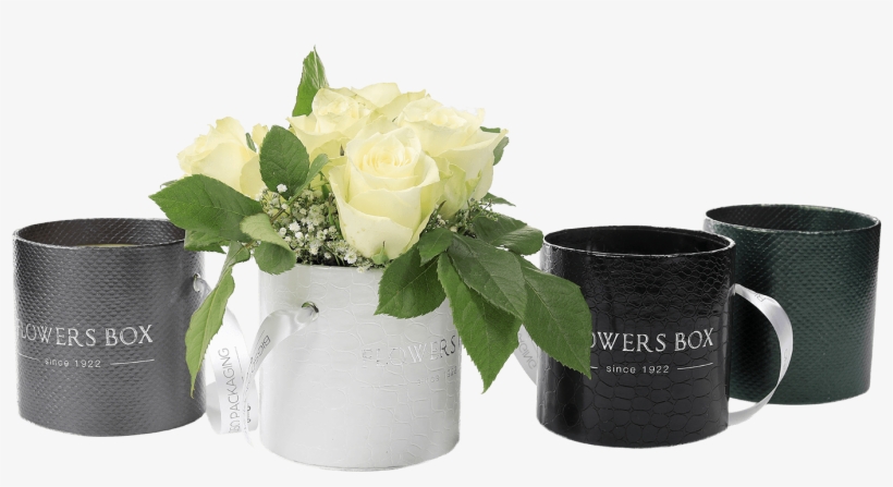 Tube Flower Box - Flower, transparent png download