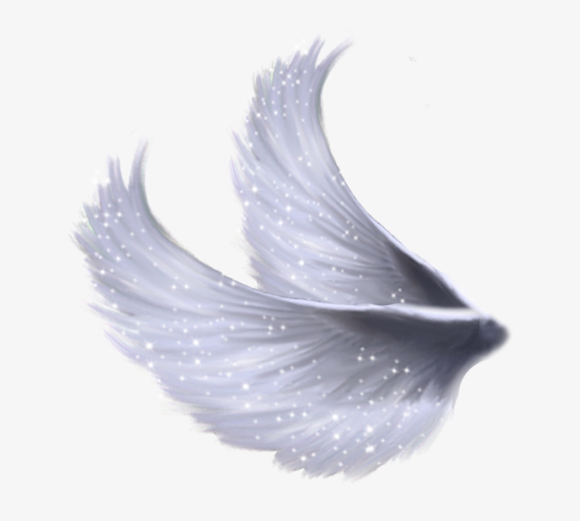 Asas De Anjo Para Montagem Png - Wings Image Png Transparent, transparent png download