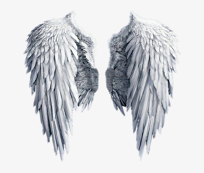 Angel Wing Transparent Png, transparent png download