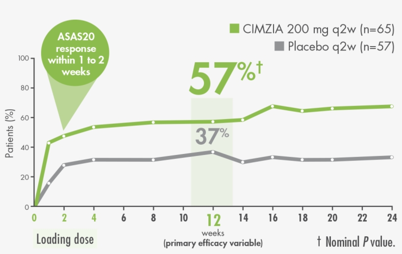 In The As-1 Study, Asas20 Response At Week - Placebo, transparent png download