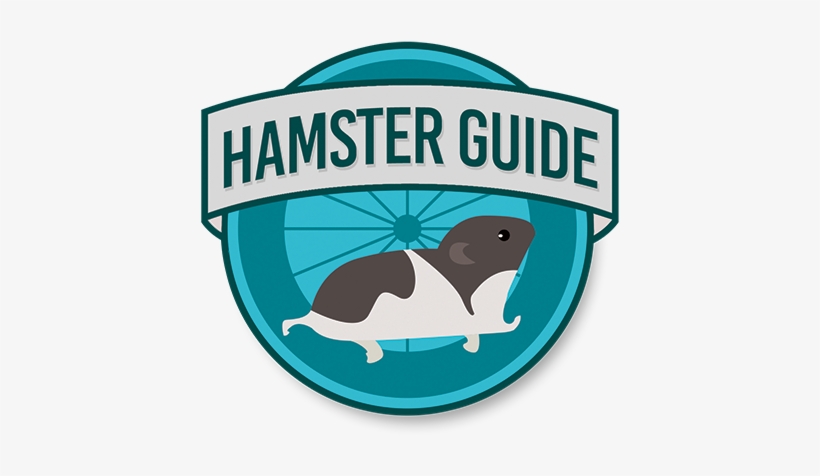 Logo2 Logo2 Logo2 - Author, transparent png download