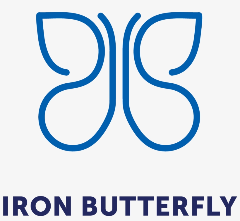 Iron Butterfly Consulting - Gate Academy, transparent png download