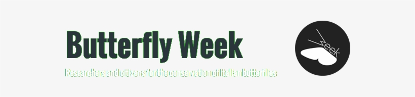 Skip To Content - Aeolian Islands, transparent png download