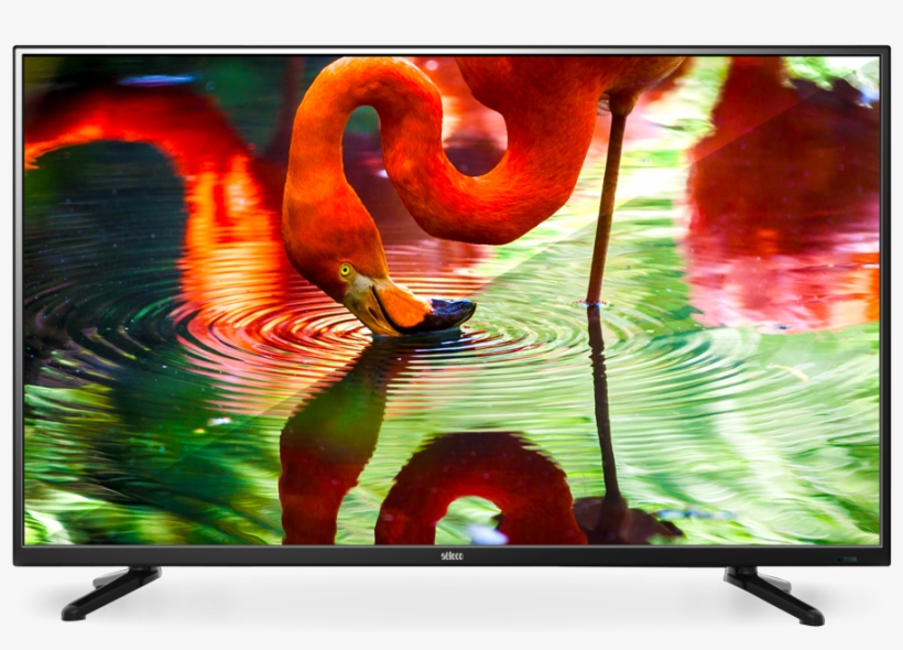 Led 32" Fhd Tv - Flamingo | Handmade | Samsung Galaxy S7 | Zwart Tpu, transparent png download