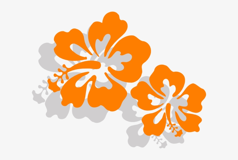 This Free Clipart Png Design Of Hibiscus Clipart Has - Hibiscus, transparent png download