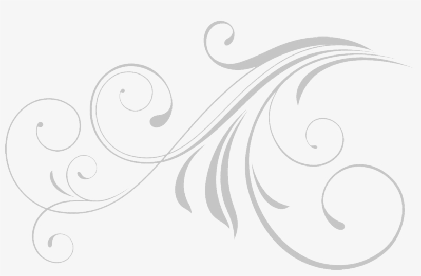 , Images V - Vector Scrolls, transparent png download