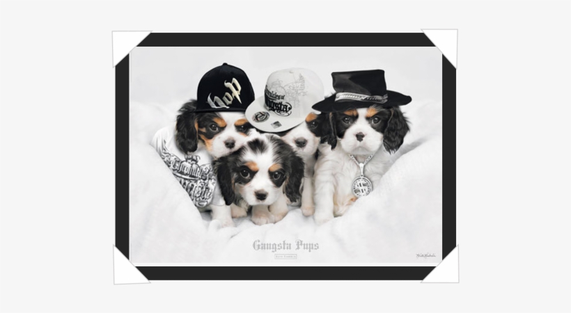#381 - Keith Kimberlin Poster, Gangsta Pups, transparent png download