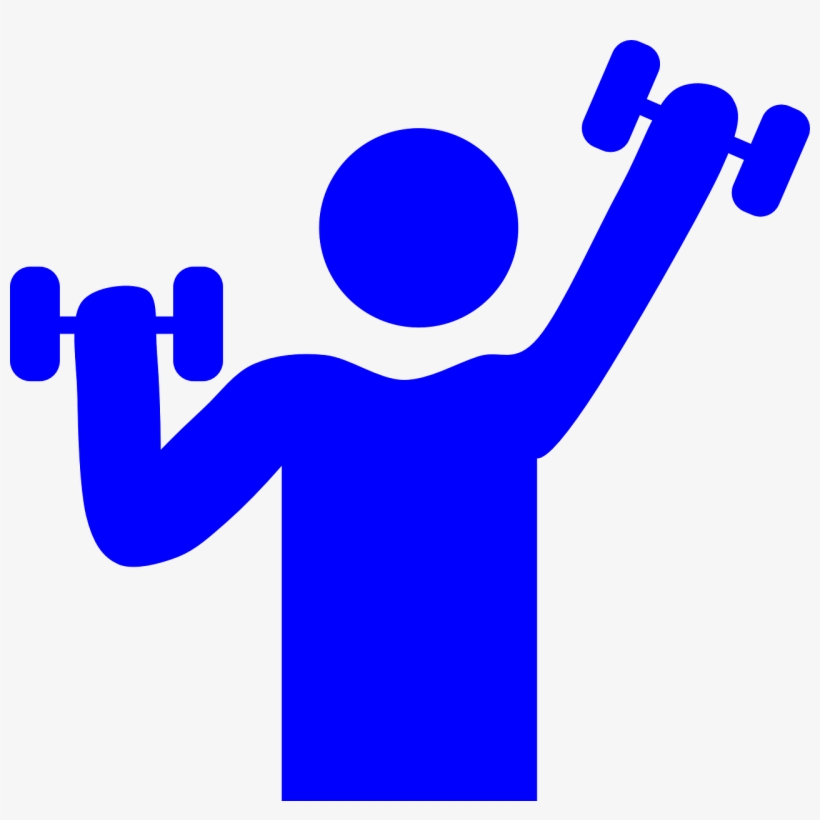 Creative Muscle “ - Gym Clipart, transparent png download