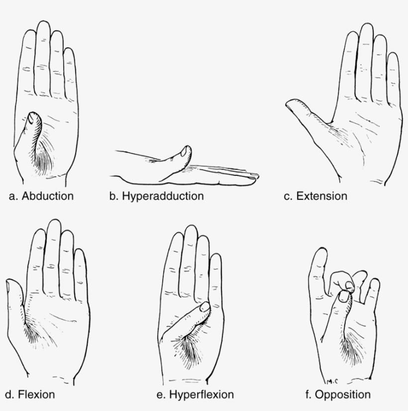Image Not Available - Movements Of The Hand, transparent png download