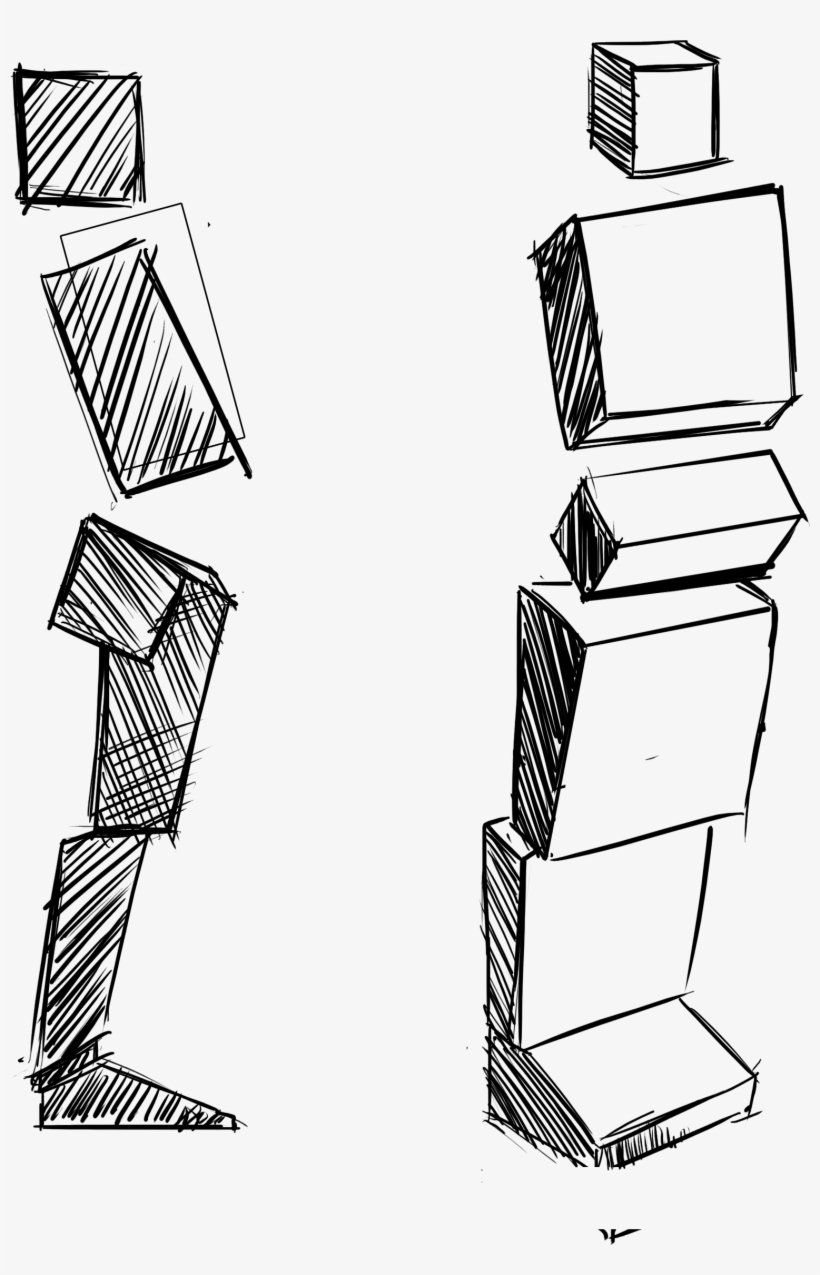 The Concept Of Opposing Curves Is Especially Important - Shelf, transparent png download