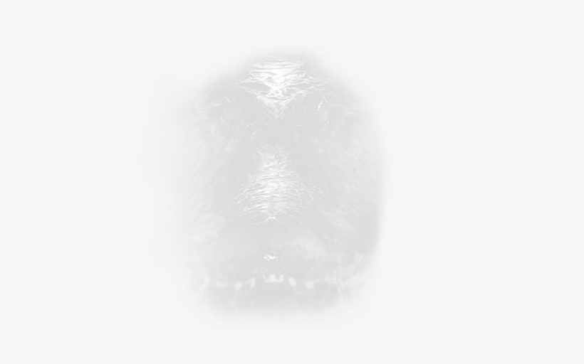 Click And Drag To Re-position The Image, If Desired - Sketch, transparent png download