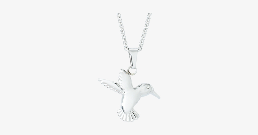 Hummingbird - Gif, transparent png download