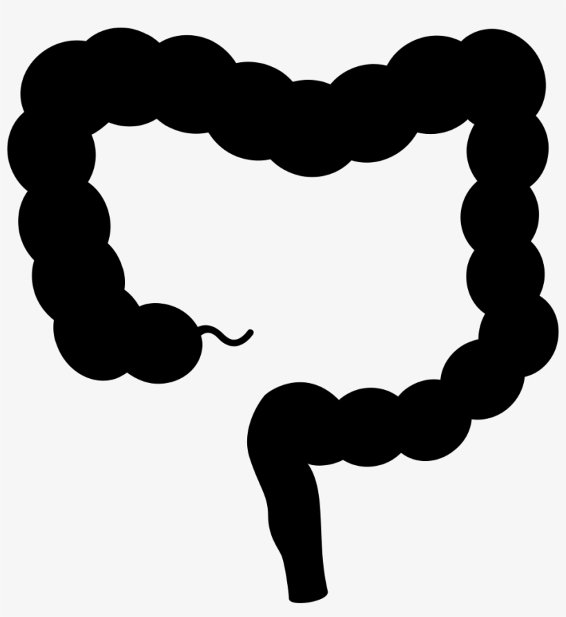 Intestine Comments - Large Intestine Graphic Black And White, transparent png download