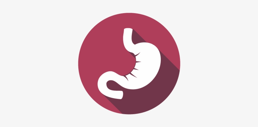 Icon Small Intestine - Nanowell Diet Plum Aloe Detox For Detox And Weight, transparent png download
