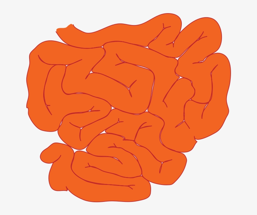 Open - Illustration, transparent png download