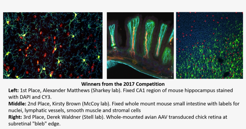 The Awards Ceremony Will Be Held On December 7, - University Of Calgary, transparent png download