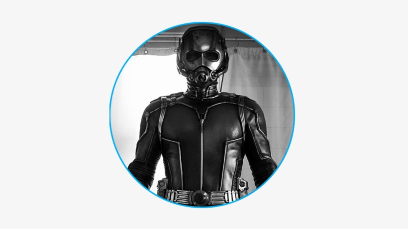 Avoid Superhero Confusion With Our Avengers - Ant Man Paul Rudd Suit, transparent png download