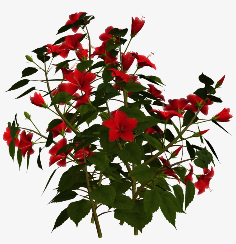 Photo Greeting Card8f - Transparent Background Flower Bush Png, transparent png download