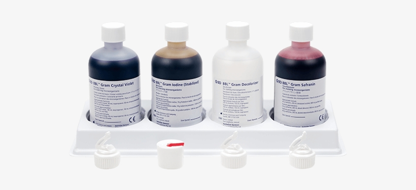 Gram Stain - Gram Stain Kit, transparent png download