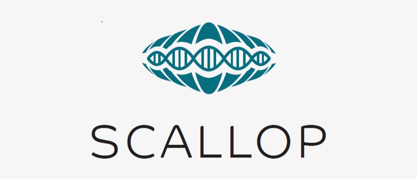 Scallop Genetics Of The Proteome - News, transparent png download