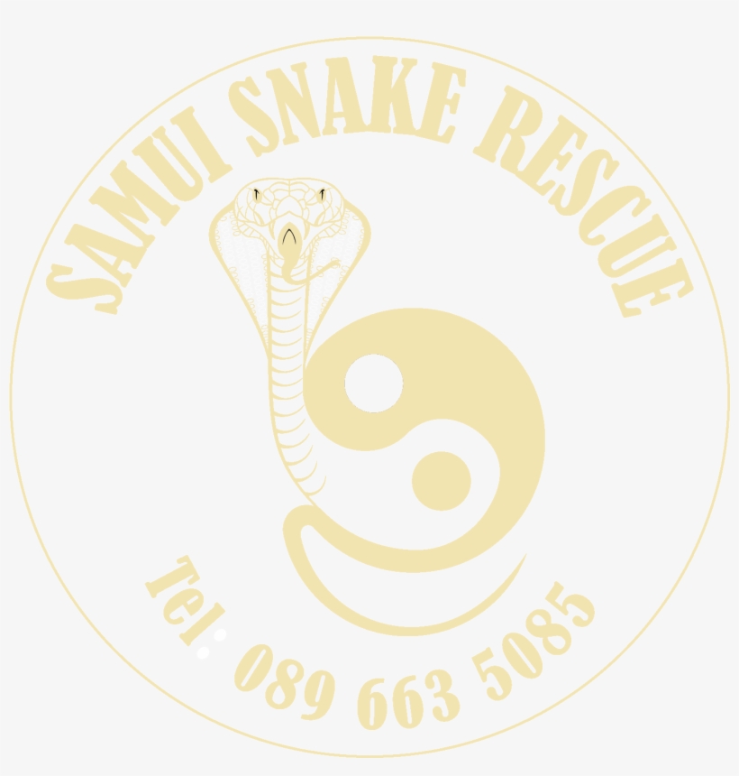 Com/logo Samui Snake Rescue - Claire's Bestie Beanie Set, transparent png download