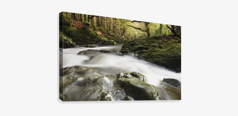 Fast Flowing Water Over Mossy Rocks In Tollymore Forest, transparent png download