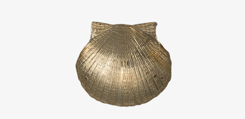 Scallop Shell Pin/pendant, transparent png download
